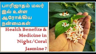 Health Benefits \u0026 Medicine in Night or Coral Jasmine | பாரிஜாதம் பூ வில் உள்ள ஆரோக்கிய நன்மைகள்