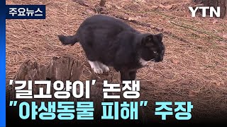 길고양이 때문에 야생동물 피해?...\