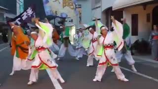 輪舞 おどり屋笑颱☆2016智頭土曜夜市「愛日本」