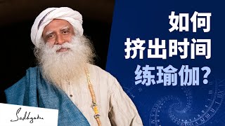 如何挤出时间练瑜伽？| Sadhguru 萨古鲁