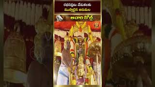 రథసప్తమి వేడుకలకు ముస్తాబైన తిరుమల | తిరుమల రథ సప్తమి వేడుకలు 2025 | జై హిందూ