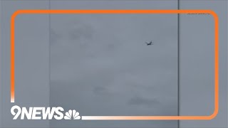Aviation expert answers questions about bird, wildlife strikes