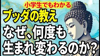 【ブッダの教え】「輪廻転生」なぜ、私たちは何度も生まれ変わるのか？