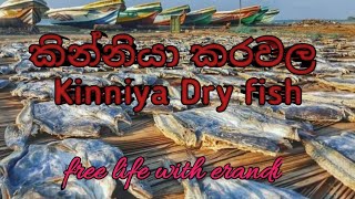 කින්නියා කරවල #Kinniya dry fish