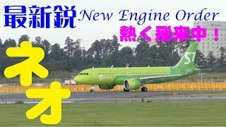 【成田空港】ただいま”neoちゃん”、成田で大増殖中！エアバスの改良機材\