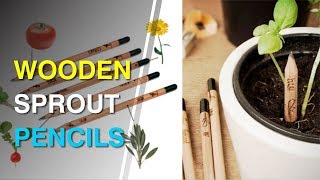 Wooden Sprout Pencils - TheEliteTrends