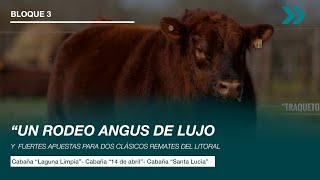 “UN RODEO ANGUS DE LUJO Y FUERTES APUESTAS PARA DOS CLÁSICOS REMATES DEL LITORAL”