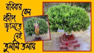 রবিবার তুলসী গাছে প্রদীপ দেখাতে নেই কেন || কেন তুলসী পাতা তুলতে নেই রবিবার