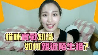 《貓咪實戰知識》#3 想摸貓咪嗎?如何讓貓一摸就愛上~