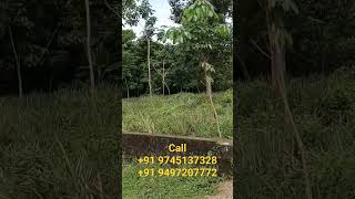 വീട് പണിയാൻ നിരപ്പായ സ്ഥലം വിൽപ്പനക്ക് houseplot sale #24keralaproperties #landsale #kerala