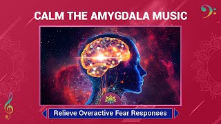 Calm The Amygdala Music - Relieve Overactive Fear Responses - Overcome Panic Attacks \u0026 Anxiety