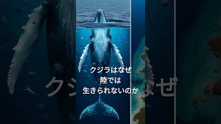 クジラはなぜ陸では生きられないのか？