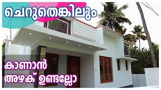 ചെറുതെങ്കിലും കാണാൻ അഴക് ഉണ്ടല്ലോ | New Modern House for sale in Nayarambalam near Kochi City