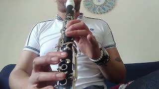 Ayrılık klarnet yakın çekim #shortvideo #klarnethane #clarinet