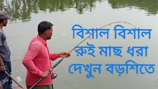 বিশাল বিশাল রুই মাছ সহ পাঙ্গাশ মাছ ধরা দেখুন বড়শিতে #hookfishing