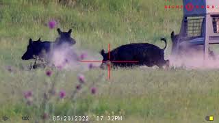 Sight Mark Wraith JTs feeder 175 yd 270 Win