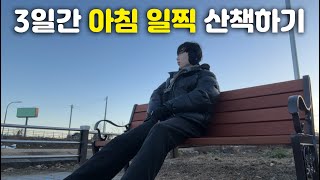 3일 동안 아침 일찍 산책하면 생기는 변화