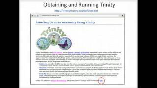 BroadE: Introduction to De Novo RNA-Seq Assembly using Trinity