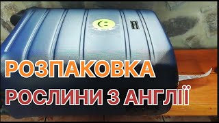 РОЗПАКОВКА. Які рослини я привезла з Англії