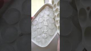 強敵現る！氷の塊🧊丸い氷可愛すぎやろ！暑い日はこの動画で涼んでくださいな。生活音ASMR 製氷皿