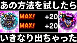 【ドラクエウォーク】追い覚醒 完全攻略 究極進化エビルプリースト【ドラゴンクエストウォーク】【ウォーク】【DQW】【DQウォーク】【こころ】【エビプリ】【メガモン】【弱点】【対策】【効率】【周回】