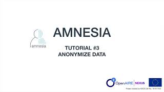 Amnesia Anonymization Tool tutorial: Data Anonymization