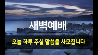 새벽예배 2025/01/24  “세워가야 한다!” 롬 14장   김성한 목사  (부천 임마누엘 교회)