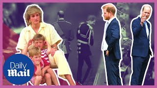 'Cut deep': Royal experts on how Prince Harry rift changed William | Palace Confidential
