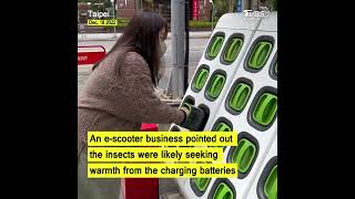 Ants seek warmth on e-scooter battery as temperatures drop in Taiwan #shorts @tvbsfocus