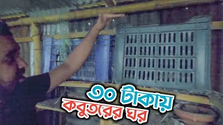 মাত্র ৩০ টাকায় ফলের বাক্সে কবুতর পালন