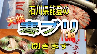 【寒ぶり】石川県能登の寒鰤を捌く！！#金沢#寒ブリ