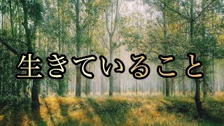 【鍵】バシャール【生きている事の意味】