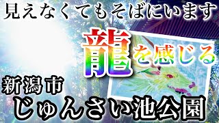 天災から龍神様が守ったとされるじゅんさい池、龍神様祀る上道神社を巡る⛩どうか受け取ってください🤲アマテラス様、龍神様たちの愛の光☀️✨🐲