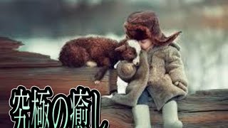 [癒やし]子供とじゃれ合う動物達　究極の可愛さ！！！cute x cute=ultimate healing