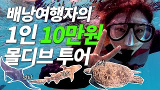 🇲🇻몰디브 로컬섬에서 즐기는 가성비 투어, 단체 vs 개인 화끈하게 둘다 즐기기 | 토두섬 몰디브 ep.02