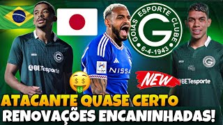 💚😱 EXCELENTES INFORMAÇÕES NO GOIÁS! CHEGADAS, RENOVAÇÕES E MERCADO DA BOLA