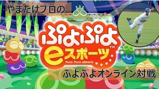 [live20.7.14]顔出し！明日の順位戦に向けて #ぷよぼ【ぷよぷよeスポーツ】