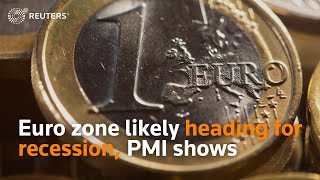 Euro zone likely heading for recession, PMI shows