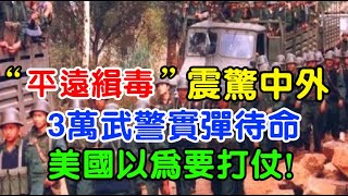 1992年“平遠緝毒”震驚中外，3萬武警實彈待命，美國以為要打仗#大案紀實 #刑事案件 #案件解說 #黑猫警Sir