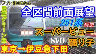 【全区間前面展望】251系特急スーパービュー踊り子5号 東京→伊豆急下田 展望グリーン車から撮影