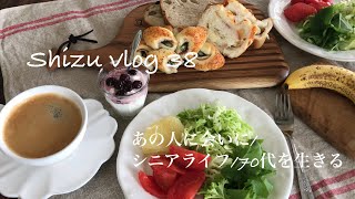 【楽しむ暮らしvlog 38】あの人に会いに/シニアライフ/70代を生きる