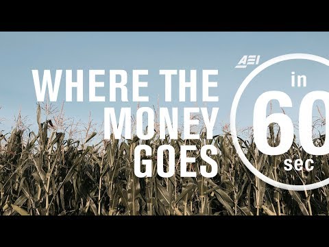 What was the original purpose of farm subsidies?