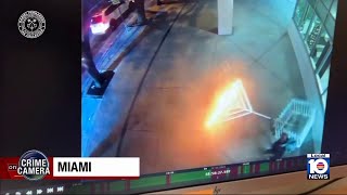 Police search for vandal caught on camera destroying menorah in Downtown Miami
