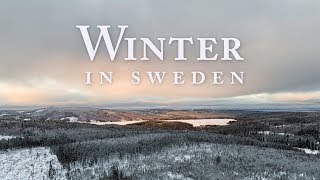 Winter in Sweden | 1 Day Roadtrip (4K Drone)