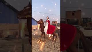 Horse in tiktok 2023 សេះក្នុង Tiktok 49