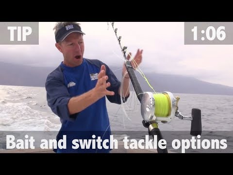 BAIT AND SWITCH TACKLE OPTIONS