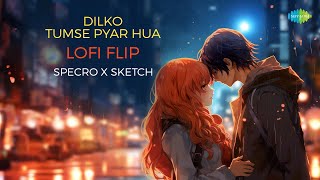 Dilko Tumse Pyar Hua Lofi Flip | SPECRO X SKETCH | Rehnaa Hai Terre Dil Mein | Romantic  Song