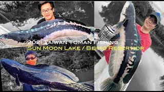 8X cm  7公斤 怪物魚虎連續捕獲  - Sun Moon Lake ( 日月潭 ) / BeiHo ( 白河水庫 ) - Toman Fishing