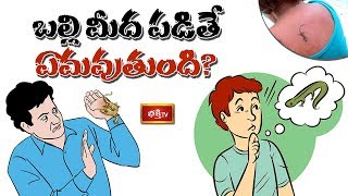 బల్లి మీద పడితే ఏమవుతుంది? | Effects of Lizard Falling on Human Body | Dharma Sandehalu | Bhakthi TV