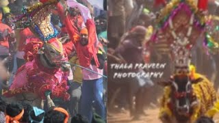 #jallikattu RED ROSE vs BMC MASS jallikattu WhatsApp status